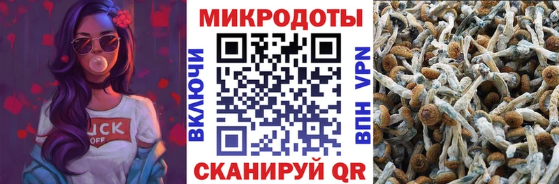 Псилоцибиновые грибы мицелий  shop состав  Абаза 